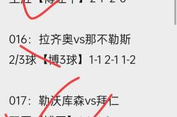 比利时队对阵冰岛队，看点十足